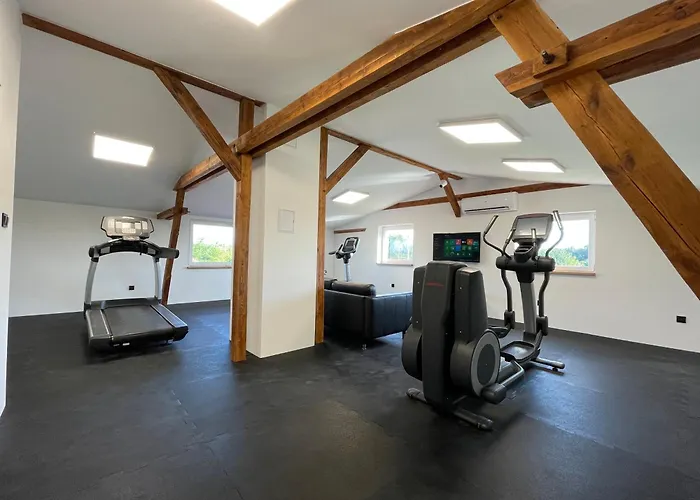 Willa Stodoła 38 Milicz